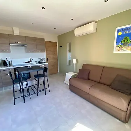 Climatise Centre Du Lavandou, Proche - Fr-1-816-6 Daire *