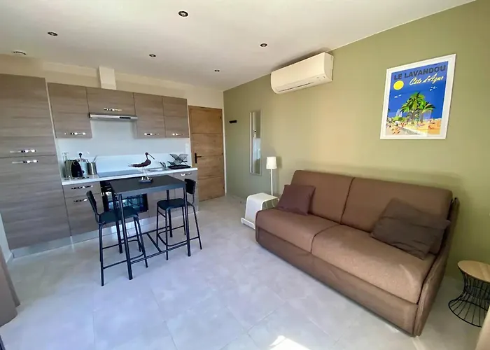 Climatise Centre Du Lavandou, Proche - Fr-1-816-6 Апартаменты *